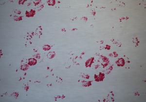 " Tissu ancien shabby, motifs de roses