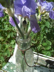 Une bouteille de lait ancienne , en verre épais, anse en métal