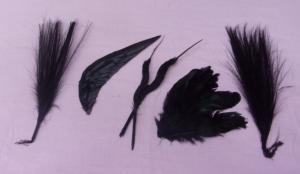    5 ensembles de plumes anciennes pour chapeau , entre 20 et 30 cm, plumet