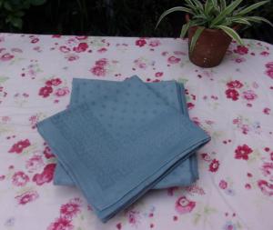 6 serviettes anciennes , coloris bleu/vert
