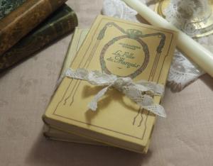 2 charmants petits livres anciens ,COLLECTION NELSON, déco shabby,