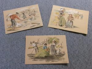 3 cartes postales anciennes, régionales, , le marais , les paludiers, et les dentellières et l'âne culotte, île de Ré